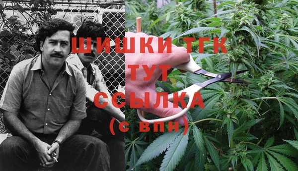 Альфа ПВП Касимов