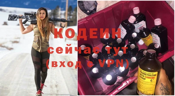 твердый Карпинск