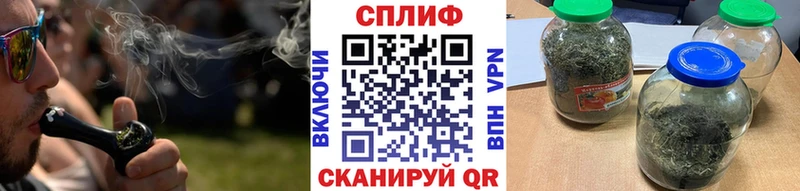 Купить где Сясьстрой Канабис конопля
